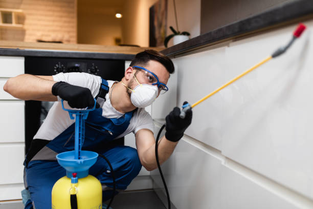 Best Wildlife Control Services  in Virginia, IL