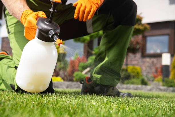 Best Affordable Pest Control Services  in Virginia, IL