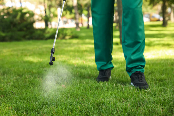 Best Pest Removal Services  in Virginia, IL