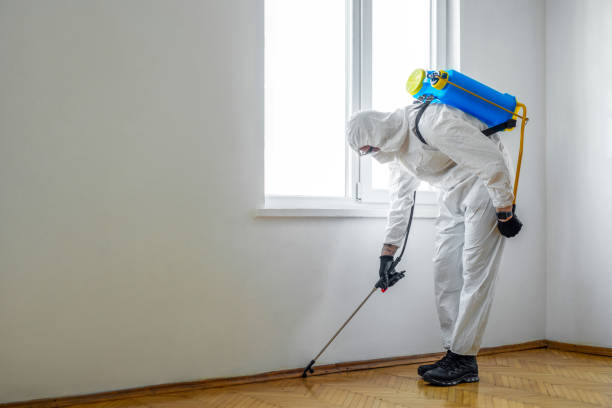 Pest Prevention Services in Virginia, IL
