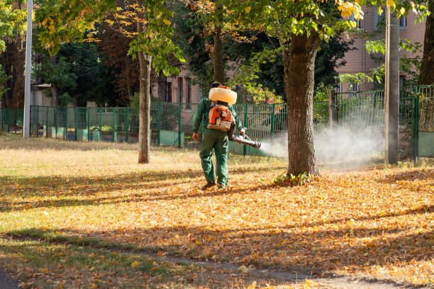 Best Best Pest Control Companies  in Virginia, IL