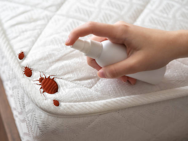 Best Commercial Pest Control Services  in Virginia, IL
